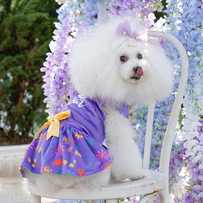 CuteBone Easter Dog Dress Velvet for Small Dogs Girl Flower Skirt Puppy Dresses Purple Dog Clothes CVA16M-D
