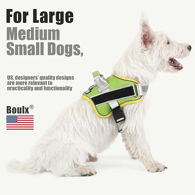 Bolux Dog Harness, No-Pull Reflective Dog Vest, Breathable Adjustable Pet Harness with Handle for Outdoor Walking - No More Pulling, Tugging or Choking (X-Small (Pack of 1), GreenYellow)