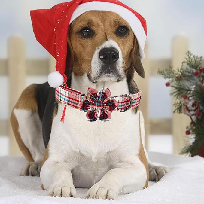 Elegant little tail Dog Collar with Flower