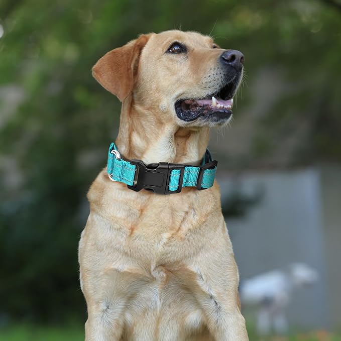 Reflective Martingale Dog Collars. Dog Collar with Quick