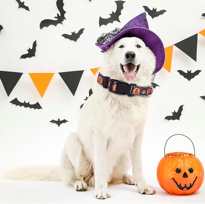 TDTOK Cute Halloween Dog Collar for Small Medium 5 Different