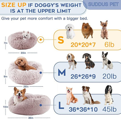 suddus Calming Dog Bed with Blanket Attached