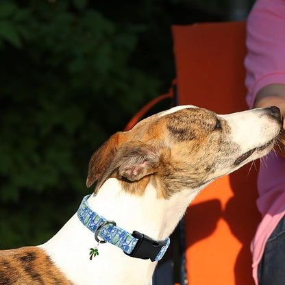 Flower Patterns Dog Collar with Accessories