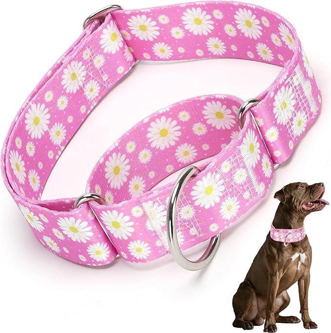 Martingale Collar for Dogs 1.5 Inches