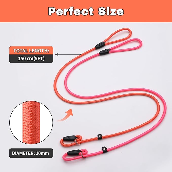 Slip Lead Dog Leash 3pcs Strong