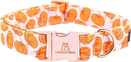 Lionheart glory Halloween Dog Collars Pumpkin Dog Collar