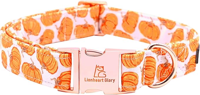Lionheart glory Halloween Dog Collars Pumpkin Dog Collar
