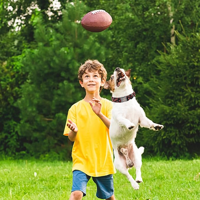 Lionheart glory Dog Collar Rugby Print Dogs Collar