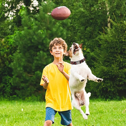 Lionheart glory Dog Collar Rugby Print Dogs Collar