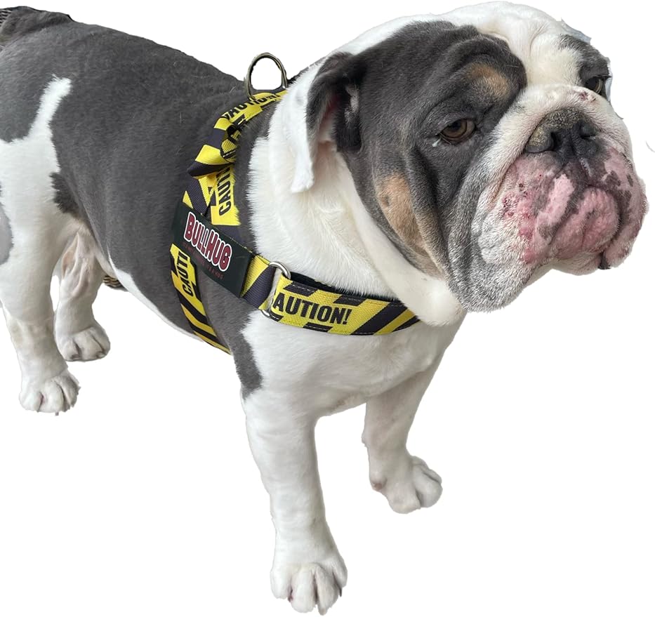 BULLHUG Harness – Made for Larger Chested Dogs Like English Bulldogs