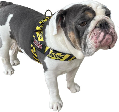 BULLHUG Harness – Made for Larger Chested Dogs Like English Bulldogs