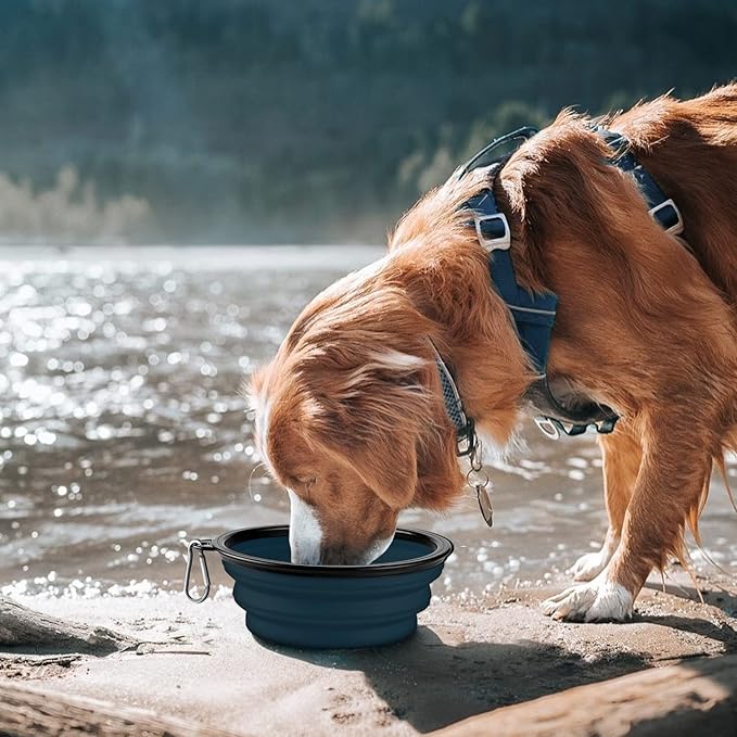 COOYOO Collapsible Dog Bowl,2 Pack Collapsible Dog Water Bowls for Cats Dogs,Portable Pet Feeding Watering Dish for Walking Parking Traveling with 2 Carabiners