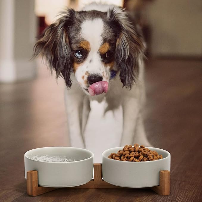 SPUNKYJUNKY Ceramic Dog and Cat Bowl with Wood Stand Non-Slip Matte Glaze Weighted Food Water Set for Cats &Small Dogs 13.5OZ