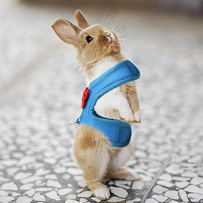 AIITLE Rabbit Harness and Leash Set with Cute Bow, Soft Breathable Mesh Vest Harness for Rabbits Kitten Ferret Puppy Small Pets Walking Supplies Blue L