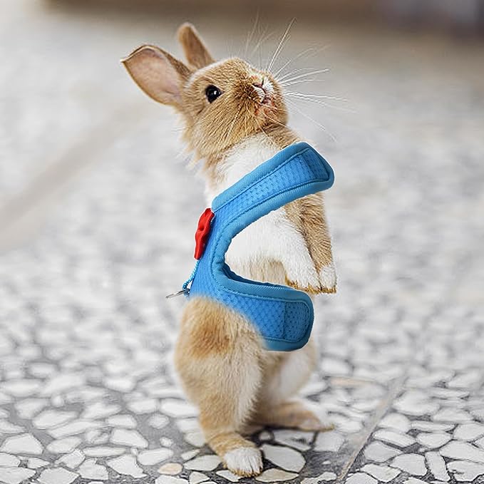 AIITLE Bunny Harness and Leash Set with Cute Bow, Soft Breathable Mesh Vest Harness for Rabbits Kitten Ferret Small Pig Puppy Walking Supplies Blue M