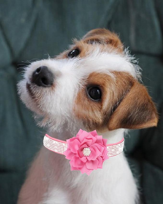Rhinestone Dog Collar for Small Medium Dogs Pink XS Dog Collar for Girl Female Dogs Flower Puppy Collar for Summer Spring Wedding Puppy Necklace Girl Dog Collar (Pink