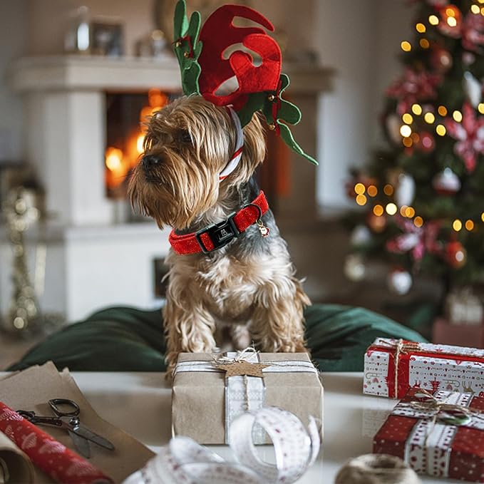 Lionheart glory Christmas Dog Collar