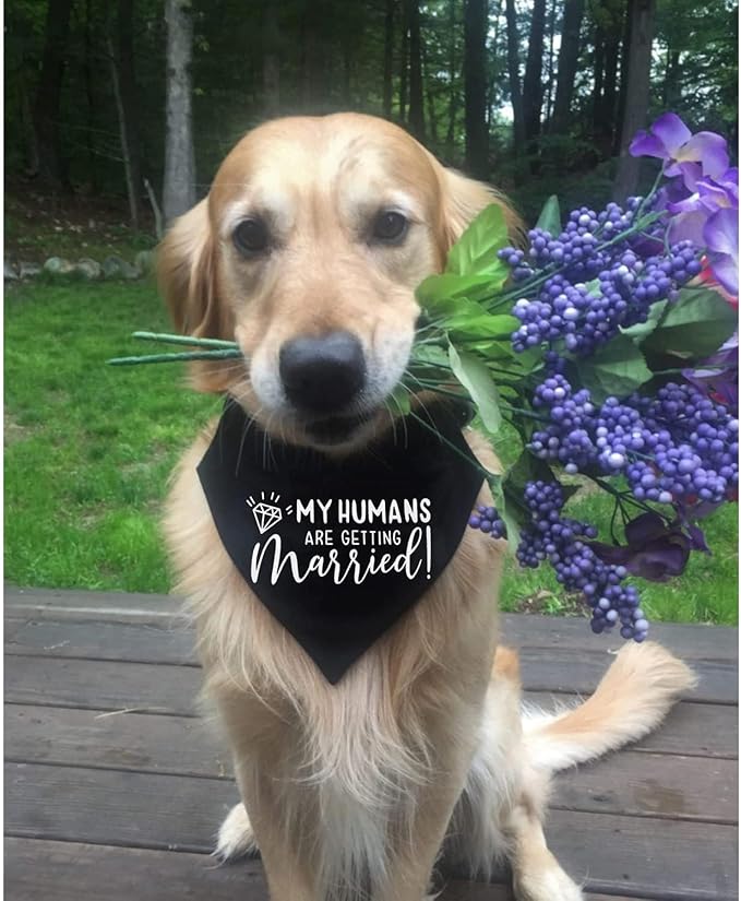 Engagement Gift, My Humans are Getting Married I Do Too Dog Bandana, Engagement Announcement Dog Bandana, Dog Wedding Bandana, Engagement Photo Prop, Pet Scarf, Pet Accessories