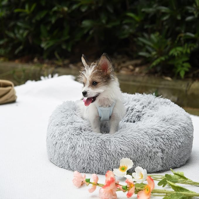 Orthopedic Dog Bed Small Washable,23 inches 25 lbs