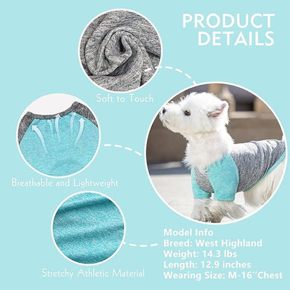 KYEESE 2 Pack Dog Shirts Raglan Sleeve Quick Dry Lightweight Stretchy Protects Against Foxtails Dog T-Shirts with Reflective Label Puppy Shirts for Small Dogs Sun Protection