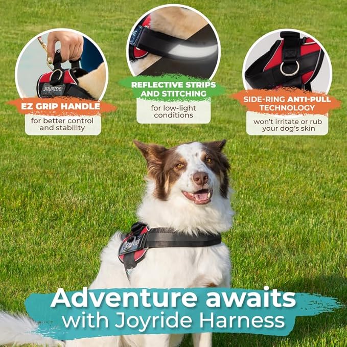 Joyride Harness 2.0 - The Original Side Ring No Pull Dog Harness - No Choke, Escape Proof, Reflective, 3 Leash Clips, Quick Fit Pet Vest - Easy Walks & Training - for Small, Medium & Large Dogs