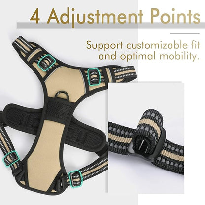 rabbitgoo Dog Harness 2 Leash