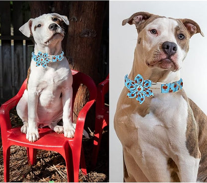 Unique style paws Thanksgiving Dog Collar with Flower