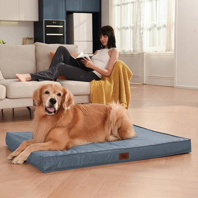 Outdoor Dog Bed for Extra Large Dogs