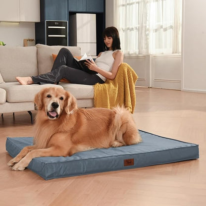 Outdoor Dog Bed for Extra Large Dogs