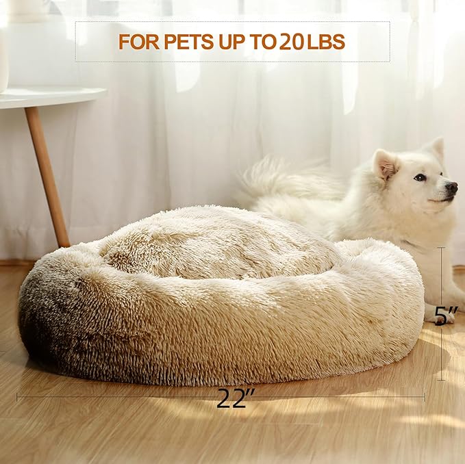 JEMA Calming Small Dog Beds for Small Dogs 22 Inch