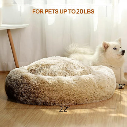 JEMA Calming Small Dog Beds for Small Dogs 22 Inch