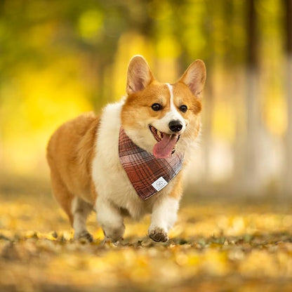 E-Clover Fall Dog Bandana & Matching Scrunchie-Thanksgiving Dog