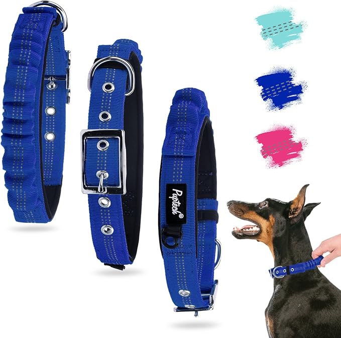 PUPTECK Heavy Duty Dog Collar with Handle Bungee for Small Medium Large Dogs