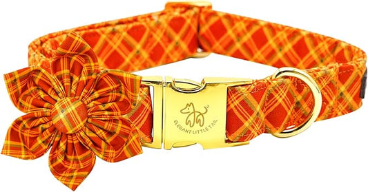 Elegant little tail Fall Dog Collar