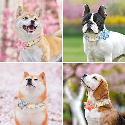 Beirui Cute Girl Dog Collars for Female Dogs