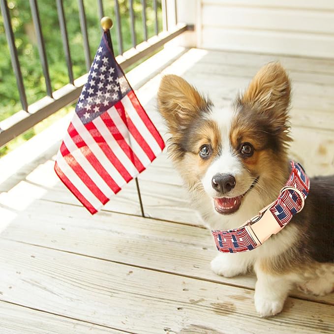 Independence Day Dog Collar