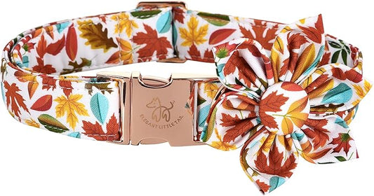 Elegant little tail Flower Dog Collar for Female or Male Dogs