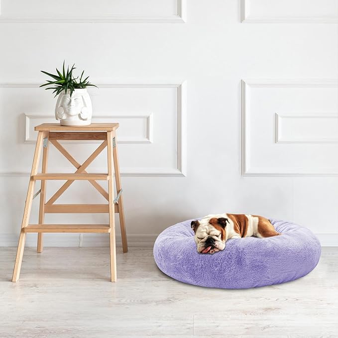 Dog Bed for Small Medium Dogs 24 inch