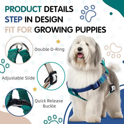 Tri-Color Dog Harness