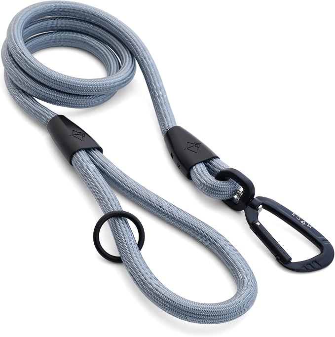 MADE TO ROAM Premium Everyday Leash 4ft (Rubber