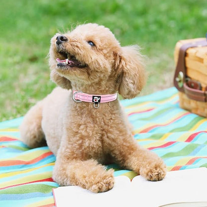 azuza Reflective Dog Collar