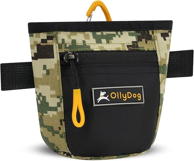 OllyDog Goodie Treat Bag, Dog Treat Pouch, Waist Belt Clip for Hands-Free Training, Magnetic Closure, Dog Training and Behavior Aids, Three Ways to Wear (Woodland Camo)