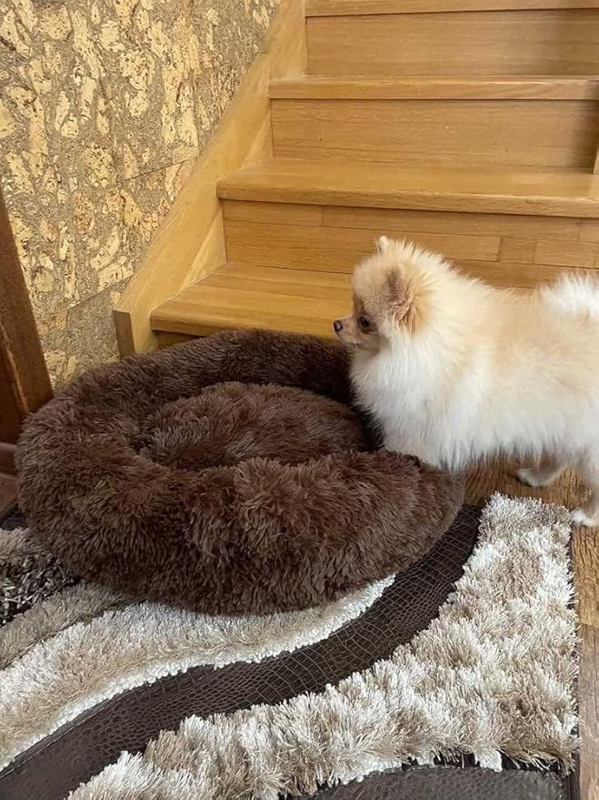 Geizire Cat Bed Dog Bed for Cats Bed(24'', Coffee)