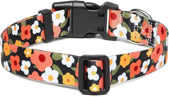 Adjustable Dog Collar with Patterns