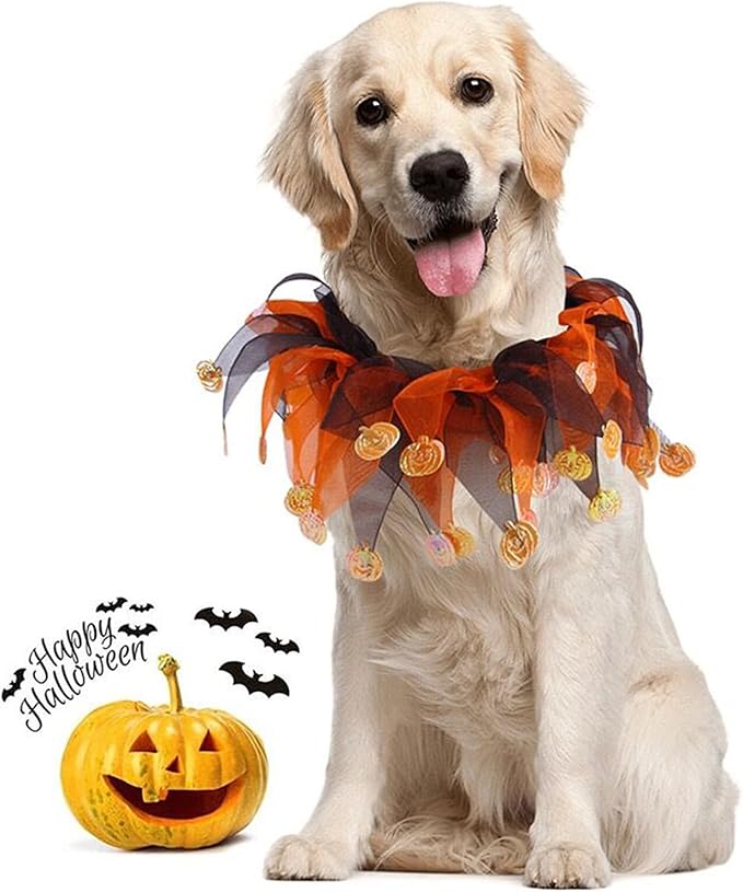 Elegant little tail 1PCS Dog Halloween Costume - Dog Cat Pumpkin Tutu Collar Dog with Halloween Pumpkin Patterns Pet Tutu Collar Suit Pet Halloween Costume for Cats Small Medium Dogs