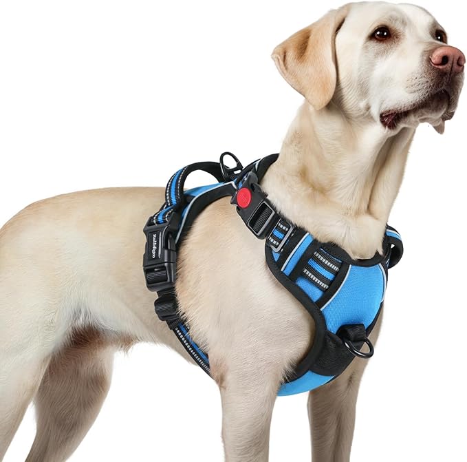 rabbitgoo Dog Harness for Large, No Pull Pet Harness with 3 Buckles, Adjustable Soft Padded Dog Vest with Instant Control Handle, Easy Walking Reflective Pet Vest for Large Dogs, Sky Blue, L