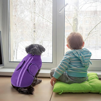 Queenmore Medium Dog Sweaters