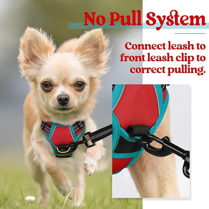 rabbitgoo Dog Harness, No-Pull Pet Harness with 2 Leash Clips, Adjustable Soft Padded Dog Vest, Reflective No-Choke Pet Oxford Vest with Easy Control Handle for Large Dogs, Red & Teal, X-Small