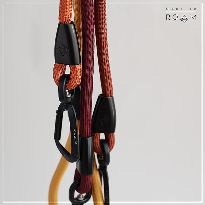 MADE TO ROAM Premium Everyday Leash 4ft (Metal