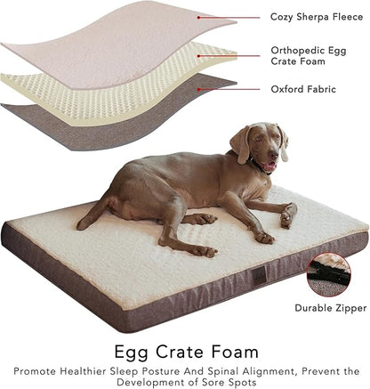 DaysU Dog Bed for Medium Dogs 35 Ibs, 35x22x3in